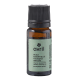 Huile Essentielle d'Eucalyptus Radié Bio 10 ml