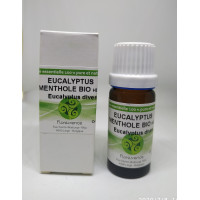 Huile Essentielle d'Eucalyptus Mentholé (Dives) Bio 10 ml