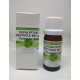 Huile Essentielle d'Eucalyptus Mentholé (Dives) Bio 10 ml