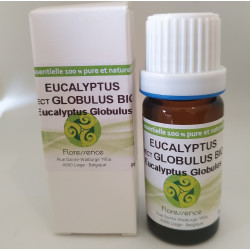 Huile Essentielle Eucalyptus Globulus Certifié Bio -10 ml