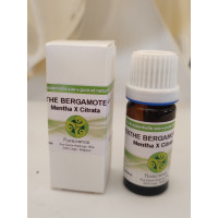 Huile Essentielle de Menthe Bergamote HECT. 10ml